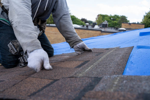 Best Metal Roofing Contractor  in Lincoln Park, MI