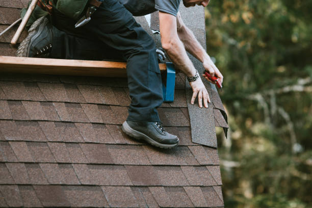 Best Roof Restoration Services  in Lincoln Park, MI